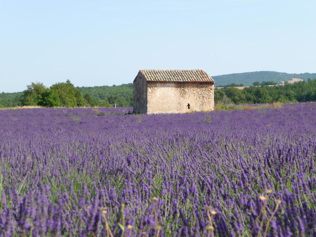 Residence Les Peupliers Loriol-du-Comtat Dış mekan fotoğraf